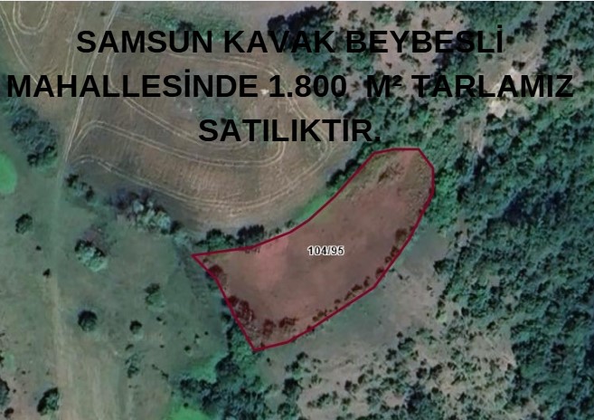 SAMSUN KAVAK BEYBESLİ MAHALLESİNDE 1.800  M² TARLAMIZ SATILIKTIR. - SAMSUN KAVAK fotoğraf 6